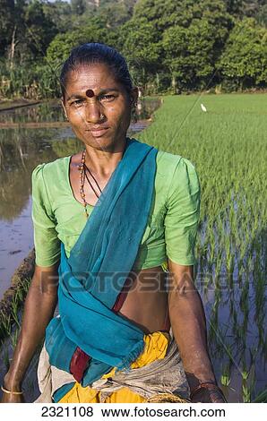 India, Karnataka, Portrait Of Female Worker In Paddy Fields; Gokarna View Large Photo Image Stock Photo - India, Karnataka, Portrait Of Female Worker In Paddy Fields; Gokarna. Fotosearch