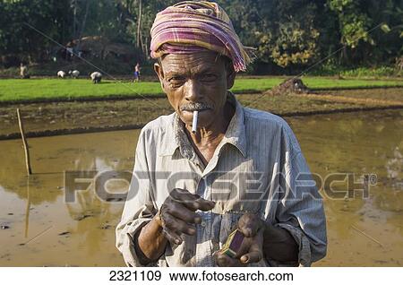 Stock Photo - India, Karnataka, Portrait Of Worker In Paddy Fields Lighting Cigarette; Gokarna. Fotosearch
