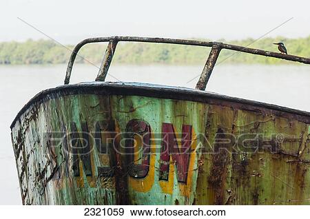 India, Kingfisher On A Cargo Barge On Mandovi River; Old Goa View Large Photo Image Stock Photo - India, Kingfisher On A Cargo Barge On Mandovi River; Old Goa. Fotosearch