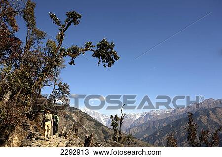 India, Kuomaon trek in indian Himalayas; Uttaranchal View Large Photo Image Stock Image - India, Kuomaon trek in indian Himalayas; Uttaranchal. Fotosearch