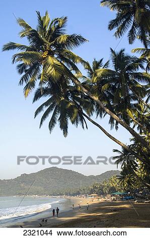 Picture - India, Palm Trees Over Palolem Beach; Goa. Fotosearch