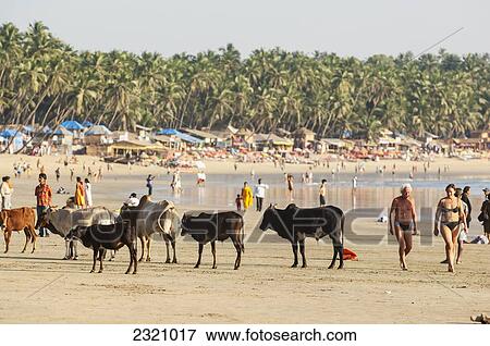 Stock Photo - India, People On Palolem Beach; Goa. Fotosearch