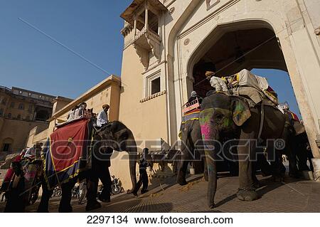 India, Rajasthan, Elephants going up and down path to Amber Fort; Jaipur View Large Photo Image Picture - India, Rajasthan, Elephants going up and down path to Amber Fort; Jaipur. Fotosearch