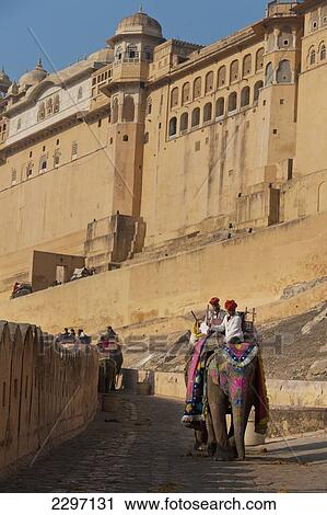 Stock Image - India, Rajasthan, Elephants going up and down path to Amber Fort; Jaipur. Fotosearch