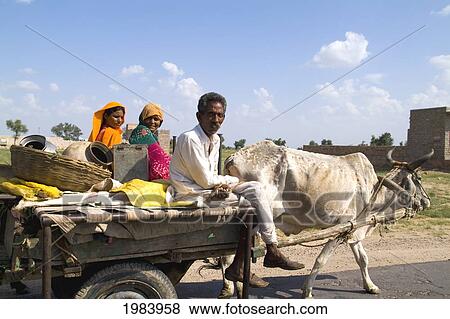 Stock Photo - India, Rajasthan, Jodhpur, Great Indian Thar Desert, Gypsy Family Going By Cow Driven Cart To Look For Land.. Fotosearch