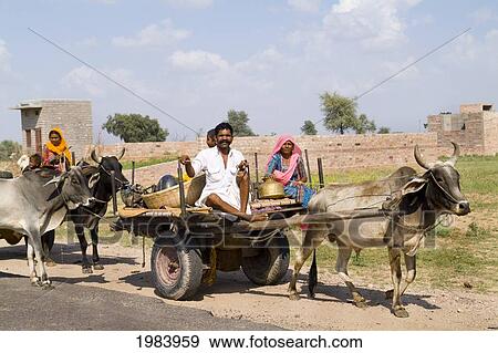 India, Rajasthan, Jodhpur, Great Indian Thar Desert, Gypsy Family Going By Cow Driven Cart To Look For Land. View Large Photo Image Stock Photo - India, Rajasthan, Jodhpur, Great Indian Thar Desert, Gypsy Family Going By Cow Driven Cart To Look For Land.. Fotosearch