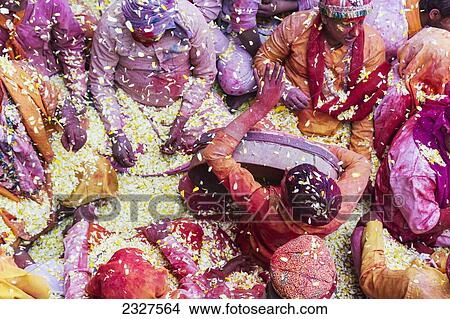 India, Uttar Pradesh, Lathmar Holi Celebrations; Barsana View Large Photo Image Picture - India, Uttar Pradesh, Lathmar Holi Celebrations; Barsana. Fotosearch