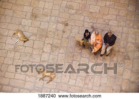 Indian Family Sitting On Bench By Two Sleeping Dogs, Aerial View View Large Photo Image Stock Image - Indian Family Sitting On Bench By Two Sleeping Dogs, Aerial View. Fotosearch