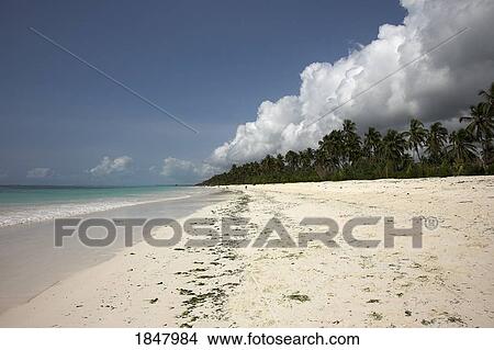 Indian Ocean, Zanzibar, Tanzania; Tropical Beach View Large Photo Image Picture - Indian Ocean, Zanzibar, Tanzania; Tropical Beach. Fotosearch
