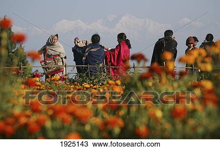 Indian Tourists Shopping In The Market View Large Photo Image Stock Image - Indian Tourists Shopping In The Market. Fotosearch