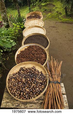 Indonesia, Balanese Raw Spices For Sale; Bali View Large Photo Image Stock Photo - Indonesia, Balanese Raw Spices For Sale; Bali. Fotosearch