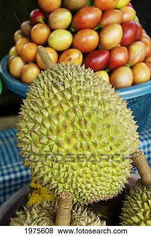 Bali durian