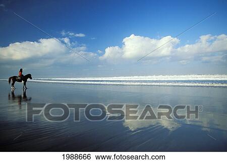 Stock Photograph - Indonesia, Bali, Kuta Beach, Local Person On Horse On Shore, Reflections From Blue Cloudy Sky No Model Release. Fotosearch