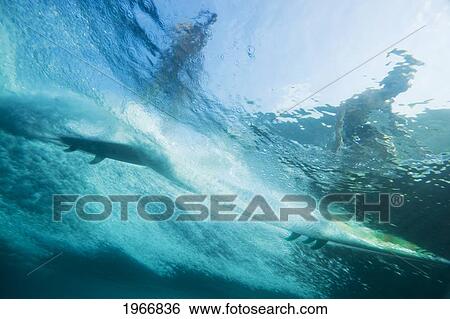 Indonesia, Bali, View From Underwater Of A Surfer Riding A Wave View Large Photo Image Stock Photograph - Indonesia, Bali, View From Underwater Of A Surfer Riding A Wave. Fotosearch