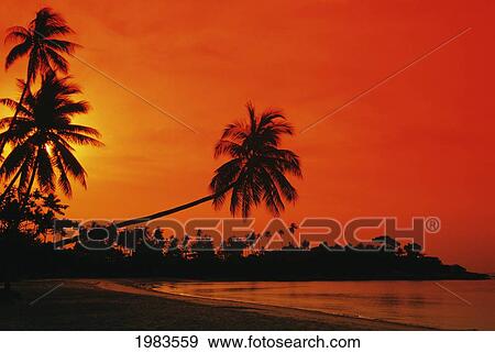 Indonesia, Bintan Island Resort, Beach At Sunset. View Large Photo Image Stock Photo - Indonesia, Bintan Island Resort, Beach At Sunset.. Fotosearch