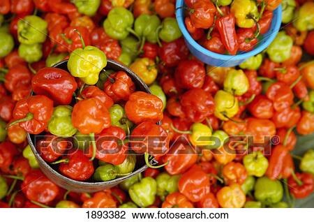Stock Image - Indonesia, Sulawesi, Chili Peppers at Rantepao Market; Tana Toraja. Fotosearch