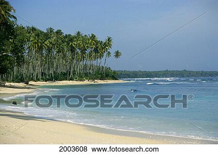 Stock Photo - Indonesia, Sumatra, Beaches Lined With Palms, Surf Heading Into Shore. Fotosearch