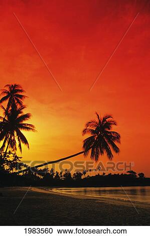 Stock Image - Indonesia, Tourist resort and beach at sunset; Bintan Island. Fotosearch