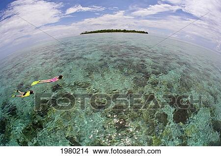 Picture - Indonesia, Women snorkeling over coral reef with deserted Island in background; Banda Sea. Fotosearch