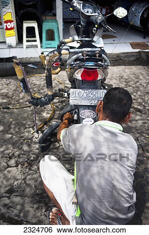 Indonesian Man Fixing A Flat Tire On His Motorbike, Bali, Indonesia View Large Photo Image Stock Photograph - Indonesian Man Fixing A Flat Tire On His Motorbike, Bali, Indonesia. Fotosearch