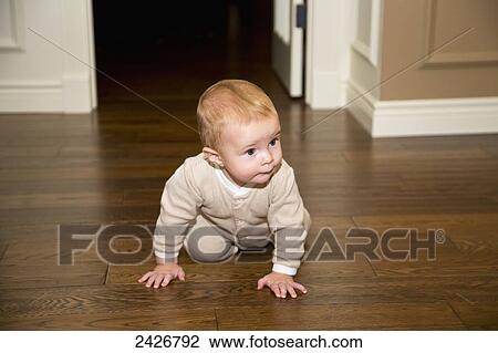Stock Image - Infant crawling on hardwood floor; St. Albert, Alberta, Canada. Fotosearch