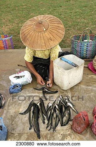 Ingle Lake market; Burma View Large Photo Image Stock Image - Ingle Lake market; Burma. Fotosearch