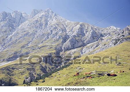 Picture - Innsbruck, Tyrol (Tirol), Austria. Fotosearch