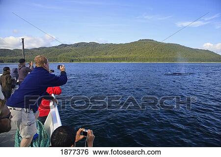 Stock Photograph - Inside Passage, Icy Strait, Southeast Alaska, United States Of America; Whale Watching Passengers In The Nautilus Explorer. Fotosearch