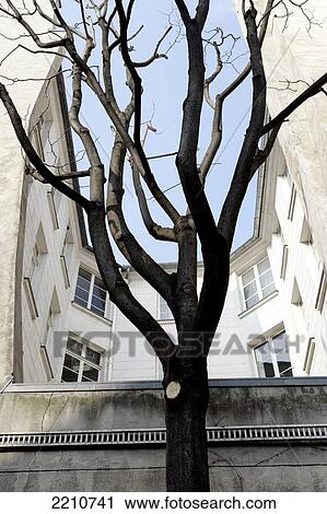 Interesting Architecture On The Left Bank. Paris, France. View Large Photo Image Stock Image - Interesting Architecture On The Left Bank. Paris, France.. Fotosearch
