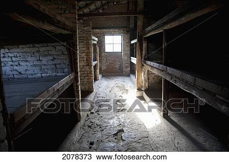 Interior Of A Barrack Of The Men's Camp, Auschwitz-Birkenau Concentration Camp, Oswiecim, Malopolska, Poland View Large Photo Image Stock Image - Interior Of A Barrack Of The Men's Camp, Auschwitz-Birkenau Concentration Camp, Oswiecim, Malopolska, Poland. Fotosearch