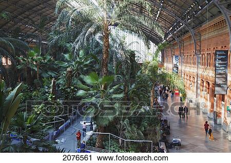 Stock Image - Interior Of Atocha Railway Station Showing Its Tropical Garden; Madrid Spain. Fotosearch