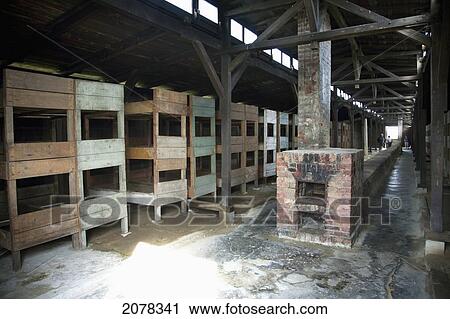 Interior Of One Of The Medical Barracks, Auschwitz-Birkenau Concentration Camp, Oswiecim, Malopolska, Poland View Large Photo Image Stock Image - Interior Of One Of The Medical Barracks, Auschwitz-Birkenau Concentration Camp, Oswiecim, Malopolska, Poland. Fotosearch