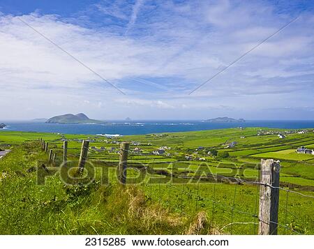 Stock Photography - Ireland, County Kerry, Dingle, Blasket, Farmland along coast. Fotosearch