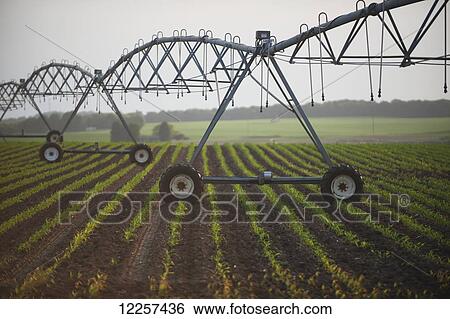Stock Photograph - Irrigation on farmland; United States of America. Fotosearch