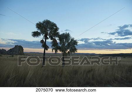 Isalo National Park At Sunset, Fianarantsoa Province, Madagascar View Large Photo Image Stock Image - Isalo National Park At Sunset, Fianarantsoa Province, Madagascar. Fotosearch