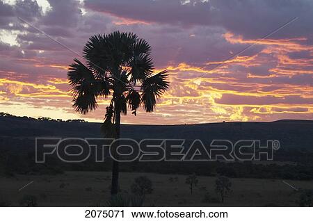 Stock Image - Isalo National Park At Sunset, Fianarantsoa Province, Madagascar. Fotosearch