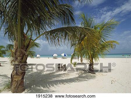 Stock Photo - Isla Mujeres. Fotosearch