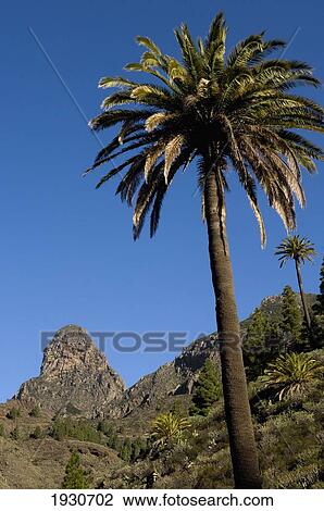Island Of La Gomera, Canary Islands, Spain View Large Photo Image Stock Image - Island Of La Gomera, Canary Islands, Spain. Fotosearch