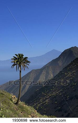 Island Of La Gomera. Canary Islands. Spain View Large Photo Image Stock Photo - Island Of La Gomera. Canary Islands. Spain. Fotosearch