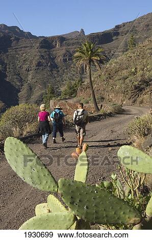 Stock Photo - Island Of La Gomera. Integral Nature Reserve. Canary Islands. Spain. Fotosearch