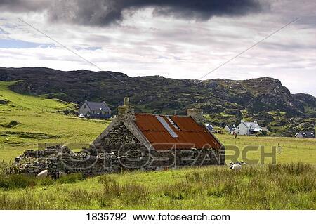Isle Of Colonsay, Scotland; Stone Farmhouse And Surrounding Field View Large Photo Image Stock Image - Isle Of Colonsay, Scotland; Stone Farmhouse And Surrounding Field. Fotosearch