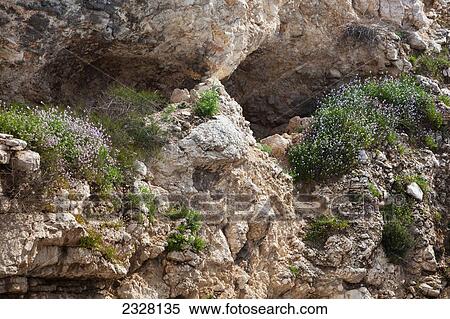 Stock Photography - Israel, Golgotha hill; Jerusalem. Fotosearch