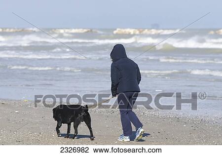 Italy, Hooded woman walking dog on beach; Porto s. Giorgio View Large Photo Image Stock Image - Italy, Hooded woman walking dog on beach; Porto s. Giorgio. Fotosearch