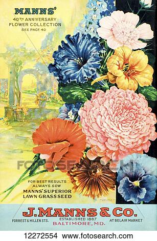 Picture - J. Mann's seed catalog with illustration of flowers from 20th century.. Fotosearch