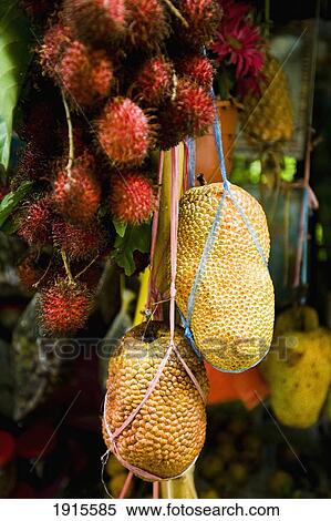 Jack Fruit And Rambutan On Market View Large Photo Image Stock Photography - Jack Fruit And Rambutan On Market. Fotosearch