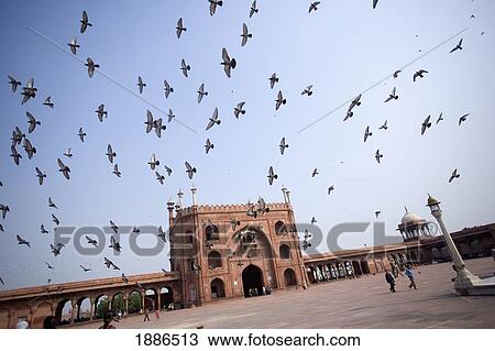 Stock Image - Jama Masjid Mosque And Pigeons. Fotosearch