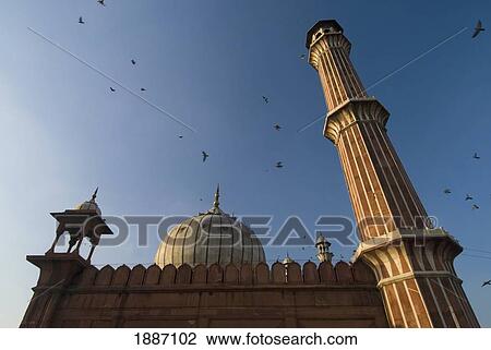 Jami Masjid And Birds View Large Photo Image Stock Image - Jami Masjid And Birds. Fotosearch