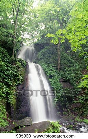 Stock Image - Japan, Kumoi Taki, Falls Slowly Flowing Over Rocks With Green Trees. Fotosearch