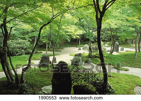 Stock Image - Japan, Kyushu, Dazaifu, Komyo-Ji Temple Garden Lush, Green Sand Path With Large Rocks. Fotosearch