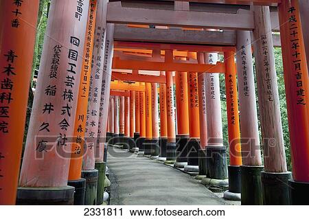 Japan, Red Columns Along Pathway; Kyoto View Large Photo Image Stock Image - Japan, Red Columns Along Pathway; Kyoto. Fotosearch